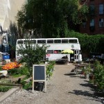 Fundstück: Bus im Garten