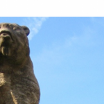 Bär