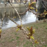 20120321-154810.jpg