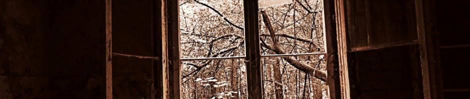 Ausblick 1