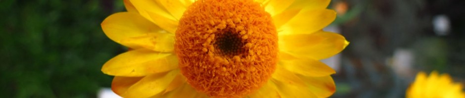 Botanischer Garten 14.11 (11)