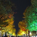 Kachur4 - Festival of Lights - Bäume