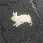 Kaninchen in Hoppelform