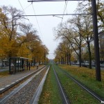 Herbst in Berlin - bunte Bäume im Mittelstreifen (für die TRAM)