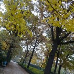 Herbst in Berlin - bunter Park
