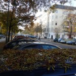 Herbst in Berlin - Blätter auf den Autodächern