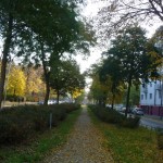 Herbst in Berlin - Mittelstreifen
