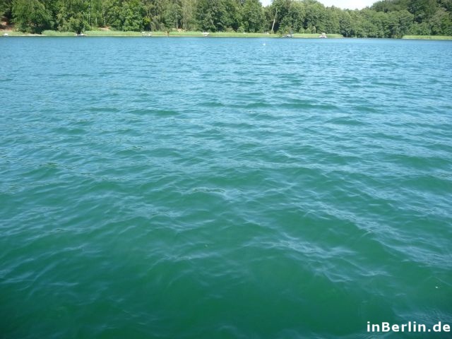 Grünblaues Wasser im Liepnitzsee