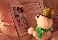 Nikolaus - Schneemann Fridolin liest das Weihnachtsbuch