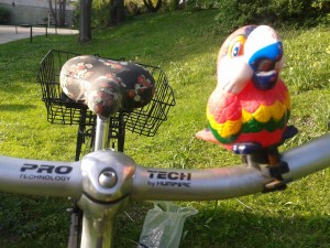 Papagei auf Fatimas (Artikelautorin) Fahrrad