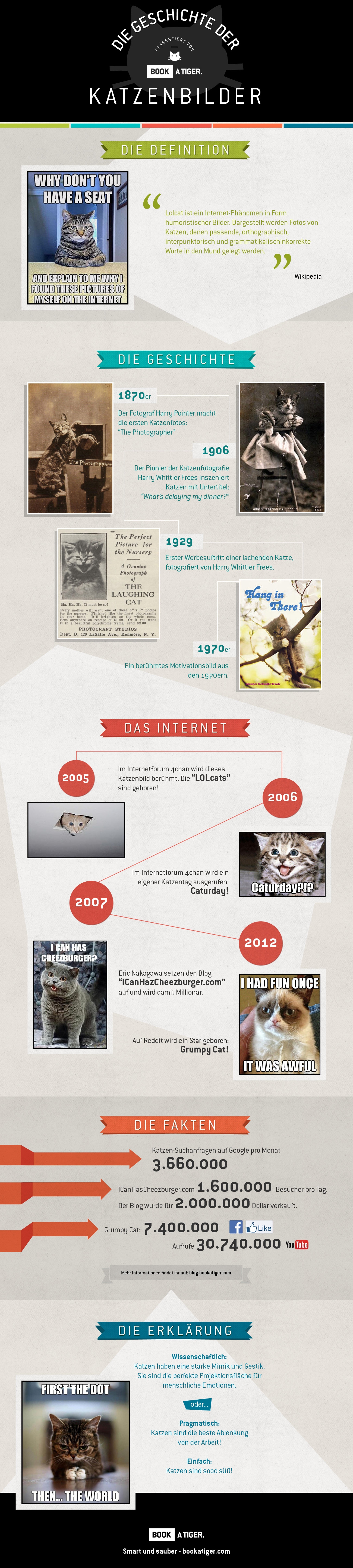 Katzen / Internet - Infografik