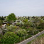 Kleingartenkolonie an der Bornholmer Straße