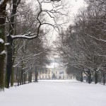Berlin Tiergarten - Winter 2016