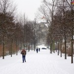 Berlin Tiergarten Winter 2016 - Blick zum Reichstag