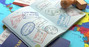 Reisepass mit Visastempel (Foto: Maxx-Studio / Shutterstock.com )
