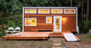 Tiny House im Wald (Foto: ppa / Shutterstock.com )