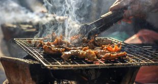 Grillen im Sommer (Image by Hai Nguyen Tien from Pixabay)