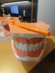 Lernmaterial - so sollten Zähne aussehen