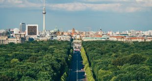 Berlin Tiergarten (Foto von Adam Vradenburg auf Unsplash)