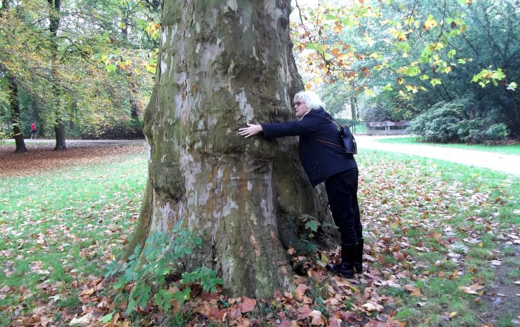 140 Jahre alter Baum