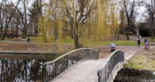 Brücke am Klarensee