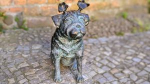 Waldmops Brandenburg