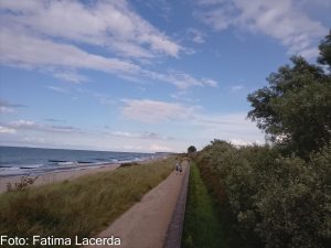 Jever Landschaft