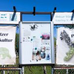 Britzer Weinkultur